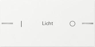 Actual product image Gira Wippe Wippenset 2f indiv.