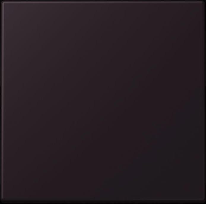 Actual product image JUNG Rocker