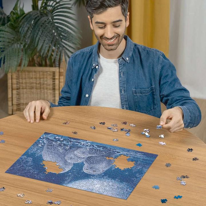 Productafbeelding Ravensburger Gufi al chiaro di luna (500 onderdelen)