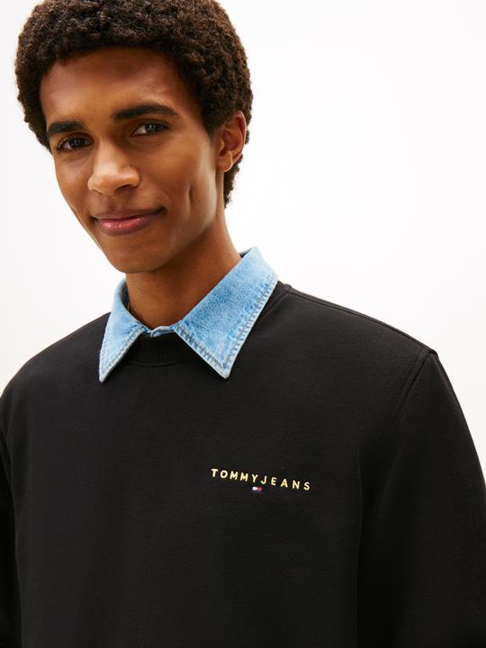 Produktbild Tommy Jeans TJM Reg Linear Crew (L)
