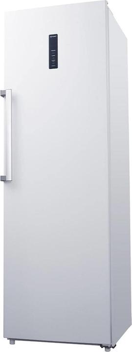 Produktbild Kibernetik GS272 (Freistehend, 274 l)