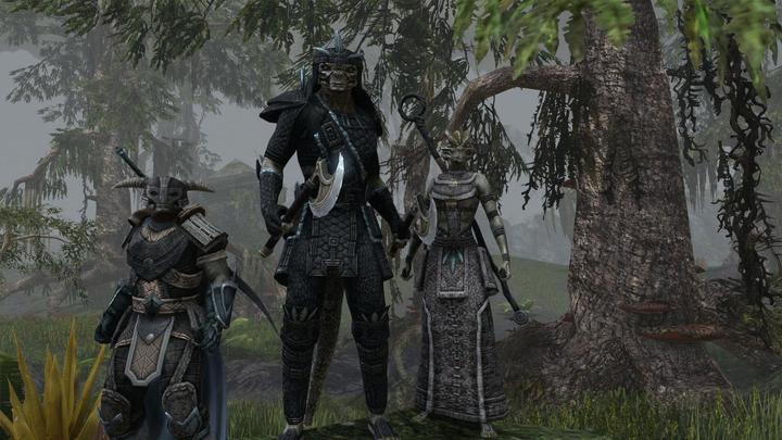 Actual product image Bethesda The Elder Scrolls Online - Tamriel Unlimited (PS4)