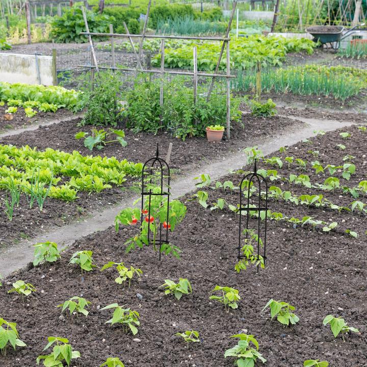 Produktbild Relaxdays Bambus