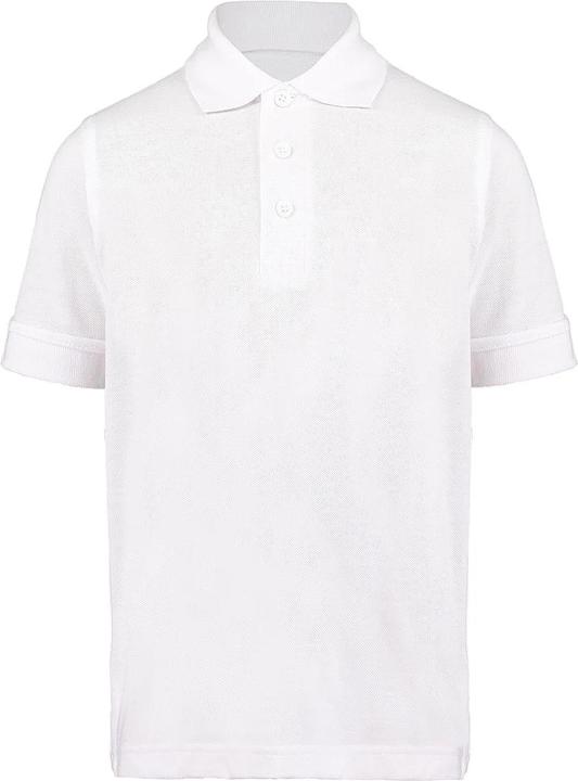 Image du produit Kustom Kit Polo classique (152)