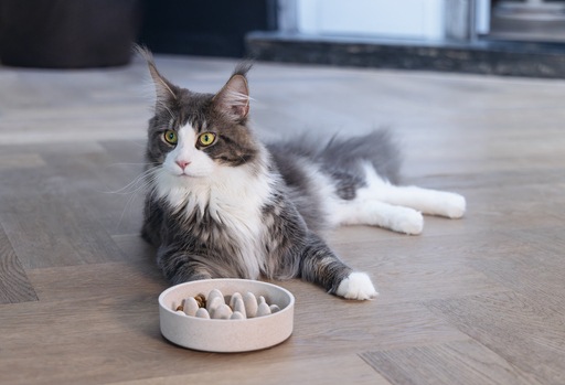 Actual product image Designed by Lotte Cat Pom (0.41 l)