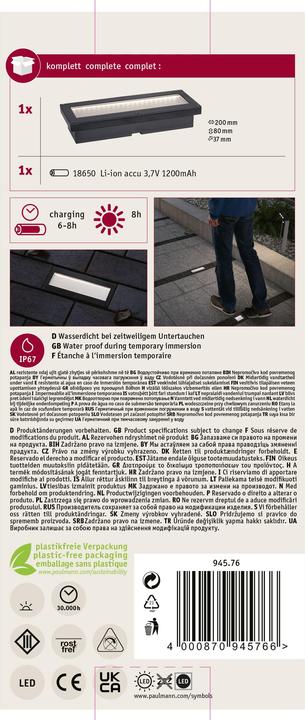 Actual product image Paulmann Solarleuchte Domenic (8 lm, IP67)