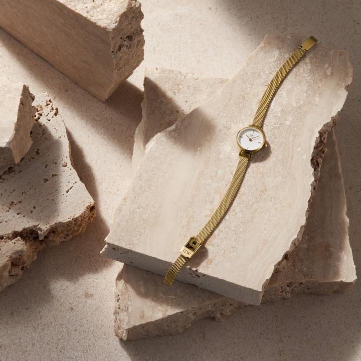 Actual product image Daniel Wellington Petite Mini Evergold (Analogue wristwatch, 19 mm)