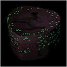 Actual product image Trousselier Dancer Rosa