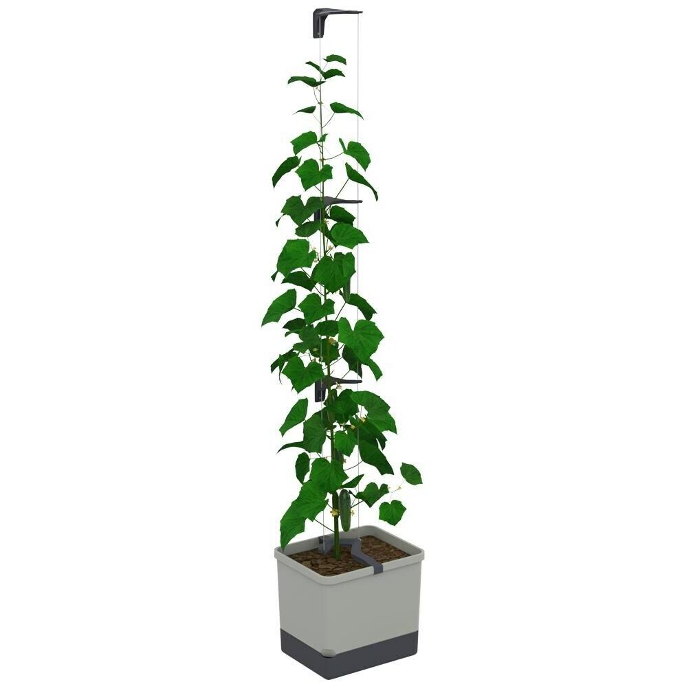 Gusta Garden, Pflanzen Zubehör, CURT CUCUMBER Gurkentopf Grau (28.70 cm, 33.50 cm)
