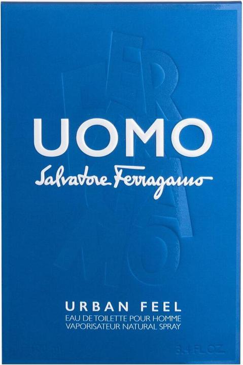 Actual product image Salvatore Ferragamo Uomo Urban Feel (Eau de toilette, 100 ml)