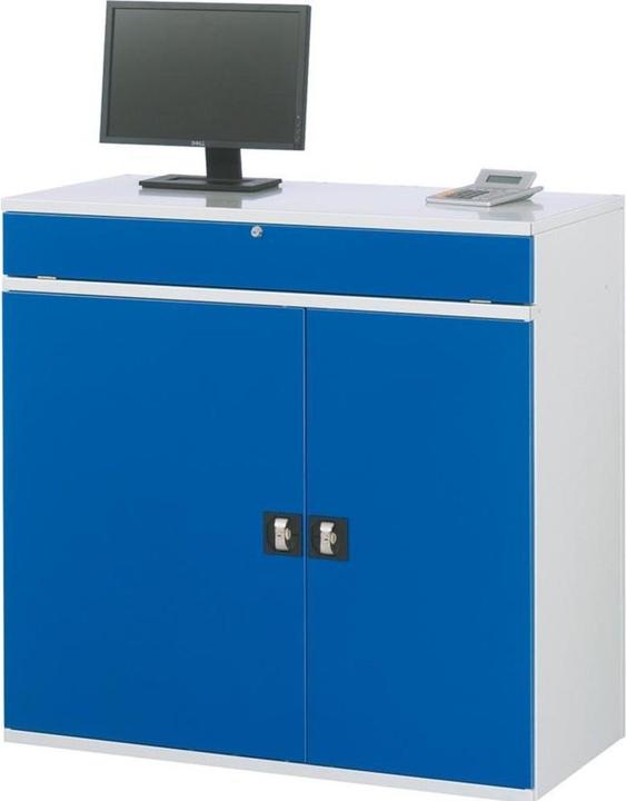 Image du produit RAU Armoire informatique version fixe ou mobile (110 cm, 106 cm)