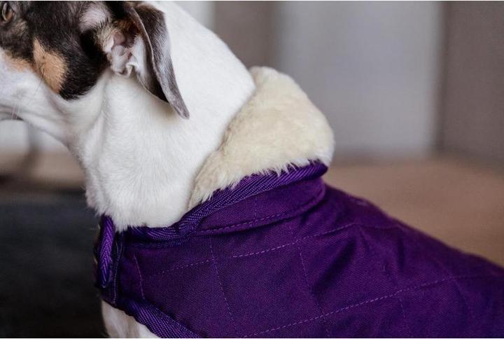 Actual product image Kentucky Dogwear Dog Coat Original (XXS, Dog coat)