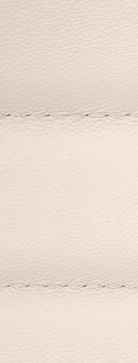 Actual product image CLP Mollis