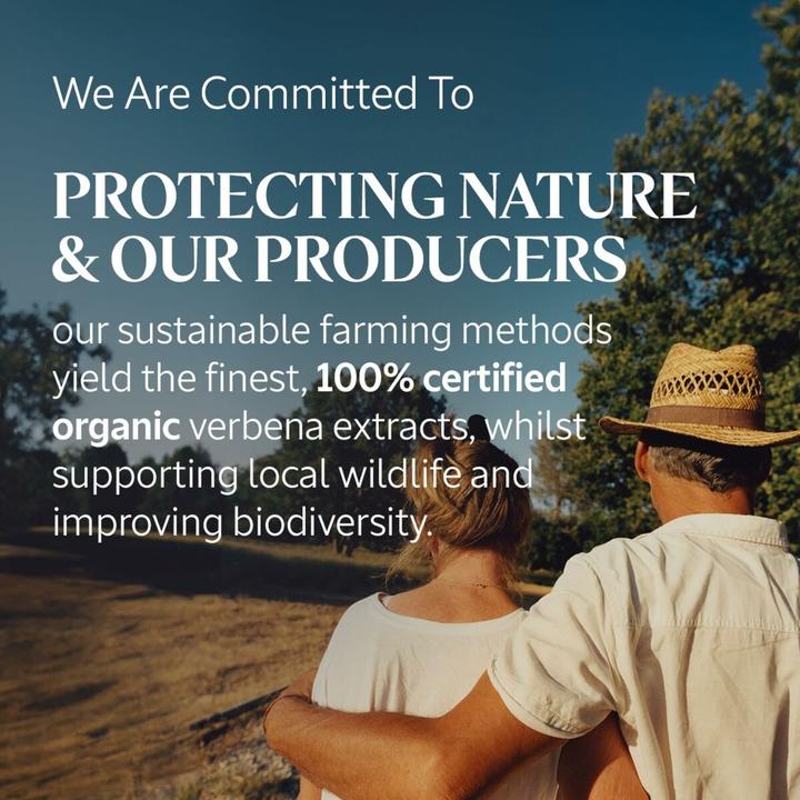 Actual product image L'Occitane Verbena Cooling Hand Cream Gel (30 ml)