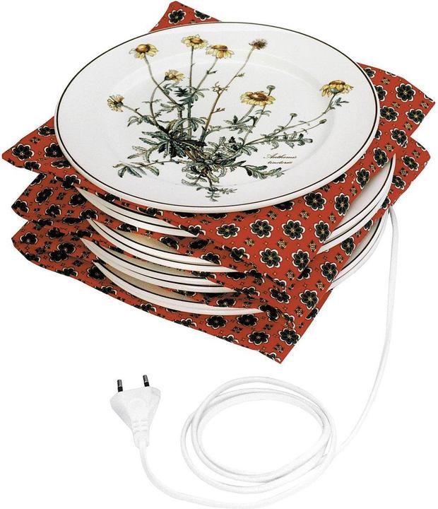 Plaatverwarmer TW 100