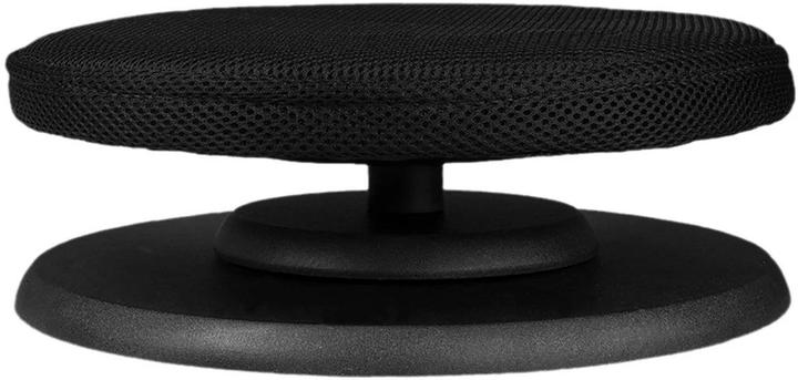 Image du produit Swedish Posture Posture Balance Core