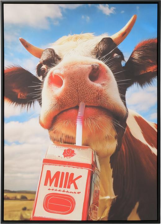 Image du produit Boltze Home Milky (4 x 50 cm)
