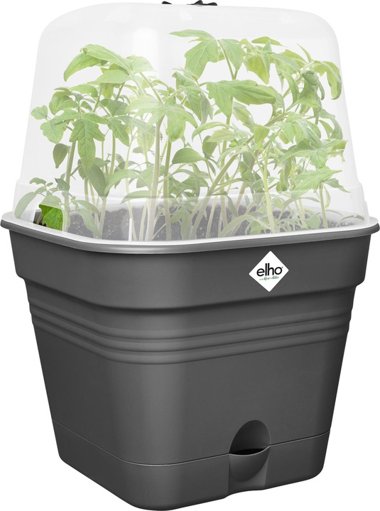 Actual product image Elho Green Basics Grow Pot Square Allin1