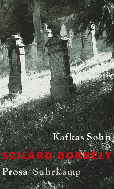 Produktbild Kafkas Sohn (Szilárd Borbély, Deutsch)