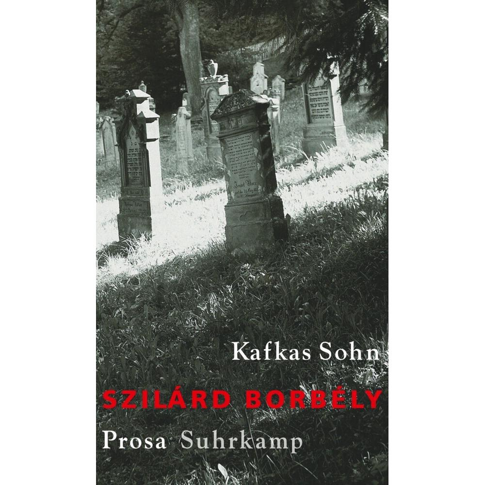 Suhrkamp Kafkas Sohn (Szilárd Borbély, Deutsch), Sonstige Literatur