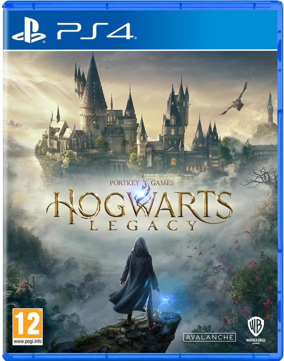 Produktbild WB Hogwarts Legacy (PS4, FR, DE)