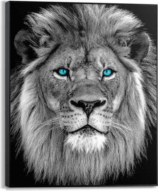 Reinders Framed Deco Panel 40x50 cm Blue Lion (40 x 50 cm)