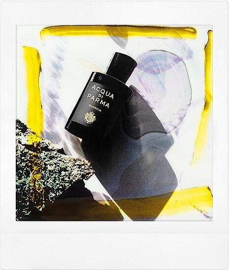 Actual product image Acqua Di Parma Quercia (Eau de parfum, 180 ml)