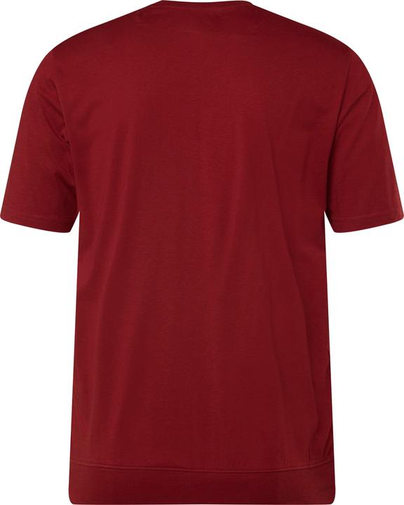 Actual product image Men+ T-Shirt, Halbarm, Bauchfit, Druck vorne (L)