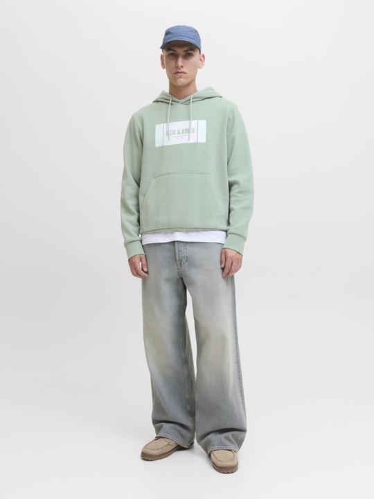 Produktbild Jack & Jones Jjhayato Sweat Hood Bts Ln (S)