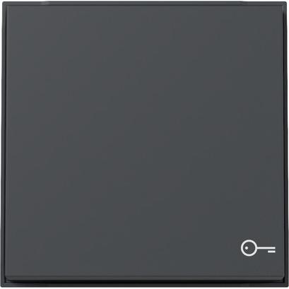 Gira, Zubehör Schalterprogramm, Wippe Symb. Tür