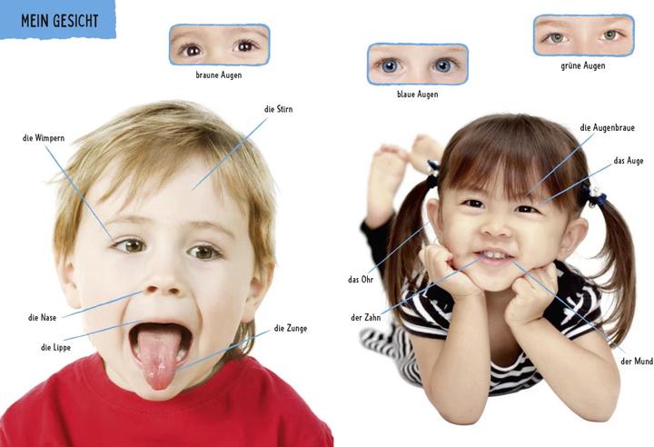 Actual product image Duden Kennst du das Mein grosses Körper-Bildwörterbuch (German, FISCHER Children's and Young Adult Paperback, 2023)