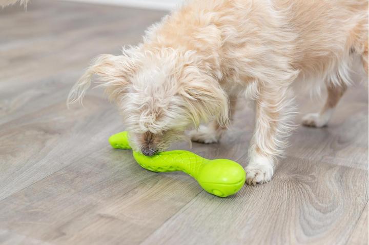 Actual product image Trixie Dog Toy Snack Snake, 27 cm, Green (Dog chew toy)