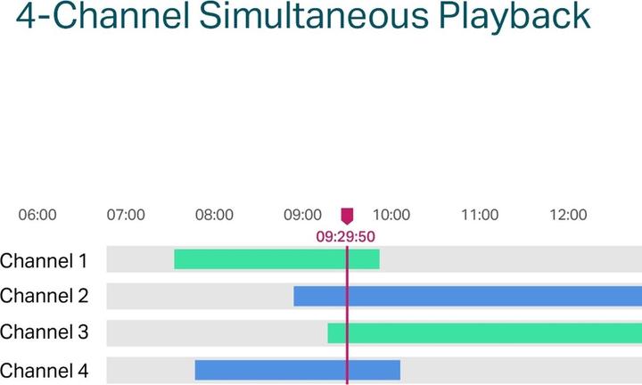 Actual product image TP-Link VIGI NVR1004H-4P (Network Video Recorder (NVR))