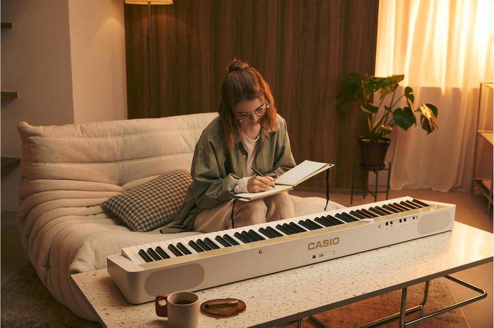 Immagine prodotto Casio Privia PX-S1100MB (88 Chiavi)
