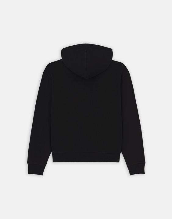 Actual product image Dickies Clancy Hoodie W (XL)