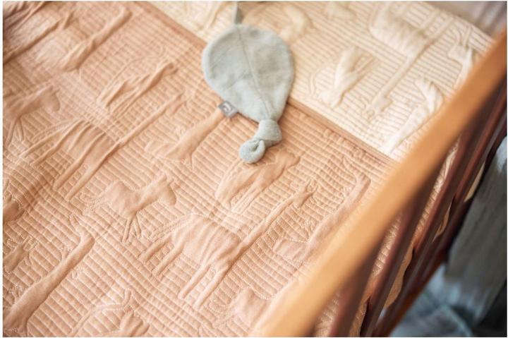 Actual product image Jollein Jersey blanket (150 x 100 cm)