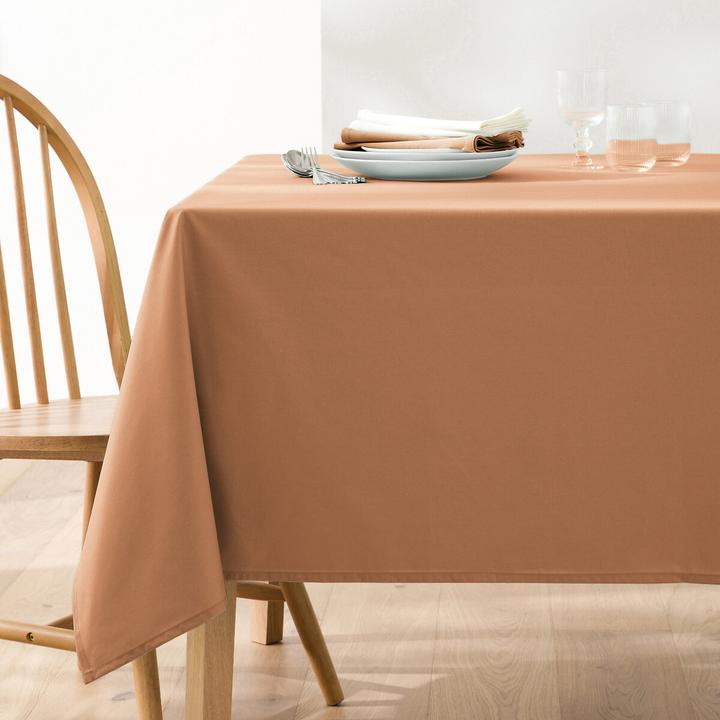 Image du produit La Redoute Interieurs Nouveau Coton Enduit (150 x 150 cm)