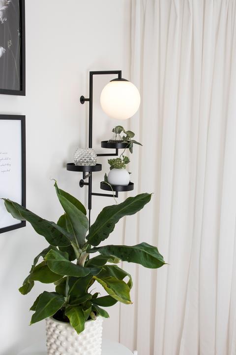 Actual product image Globen Lighting Astoria (G9)