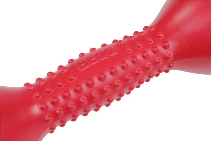 Actual product image Beco nordicJET