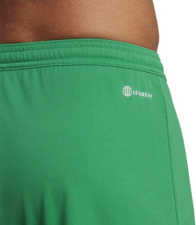 Actual product image adidas Entrada 22 Shorts (S)