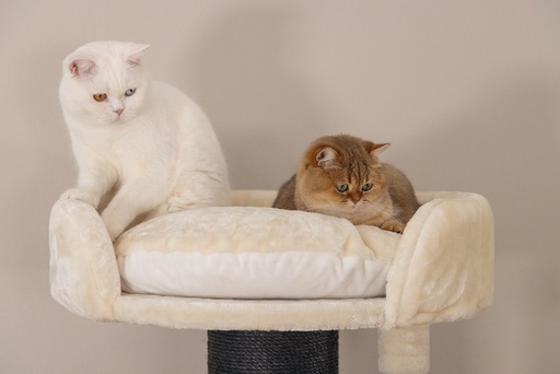 Actual product image Beeztees Tura (100 cm, Brown, Beige)