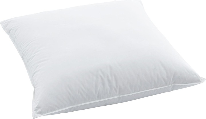 Swiss Dream by billerbeck BSC 80 Soft Pillow