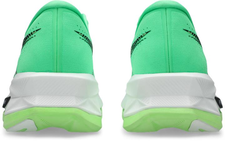 Produktbild ASICS Performance Sonicblast (44.5)