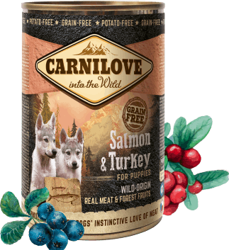 Immagine prodotto Carnilove Cibo umido per cuccioli di cane, salmone e tacchino (Cucciolo + gattino, 1 pz., 400 g)