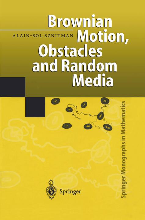 Brownian Motion, Obstacles and Random Media (Alain-Sol Sznitman, 2011)