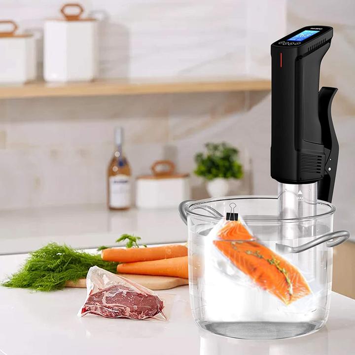 Actual product image Inkbird ISV-100W