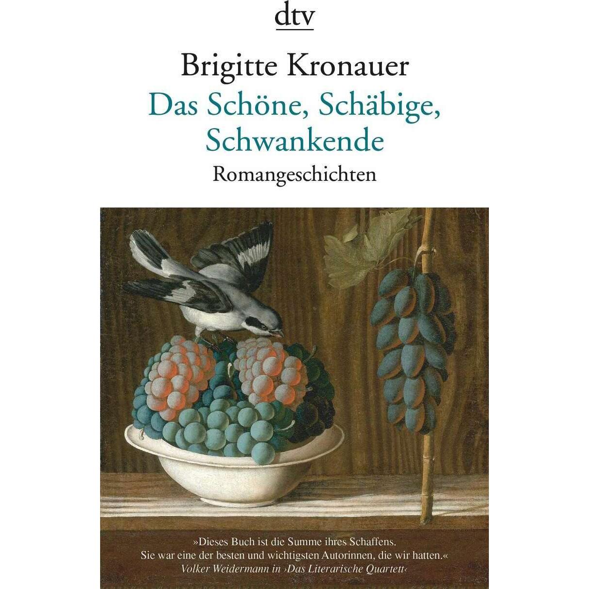 Das Schöne, Schäbige, Schwankende, Belletristik von Brigitte Kronauer