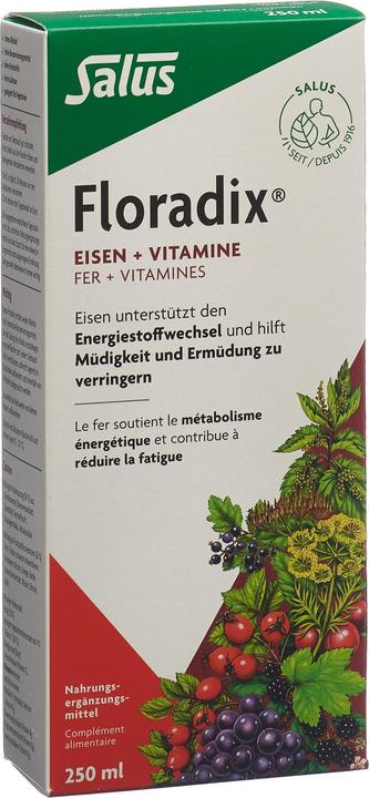 Produktbild Salus Eisen + Vitamine (1 Stück, Flüssigkeit, 605 g)