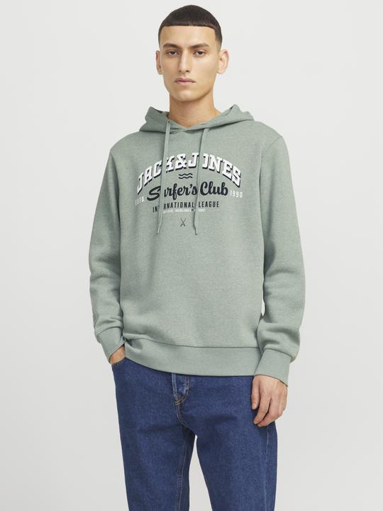Immagine prodotto Jack & Jones JJELOGO SWEAT HOOD 2 COL 24/25 NOOS (XXL)