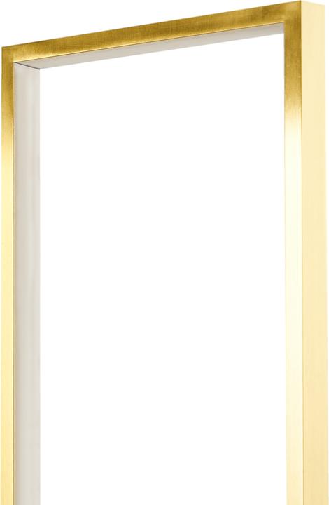 Produktbild Beliani Patricio (2400 lm)